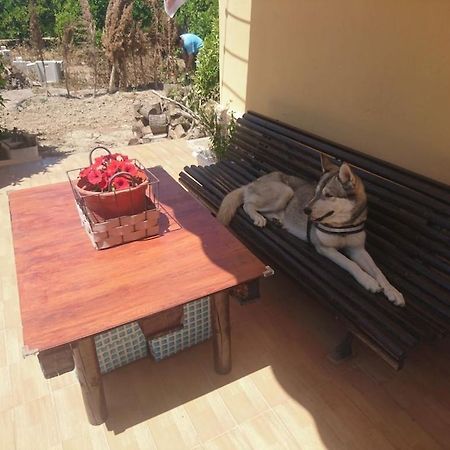 Willa Casita Entre Naranjas Formentera de Segura Zewnętrze zdjęcie
