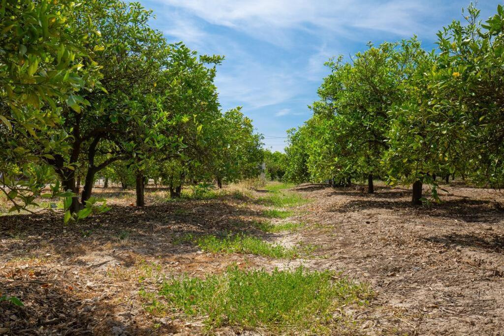 Willa Casita Entre Naranjas Formentera de Segura Zewnętrze zdjęcie